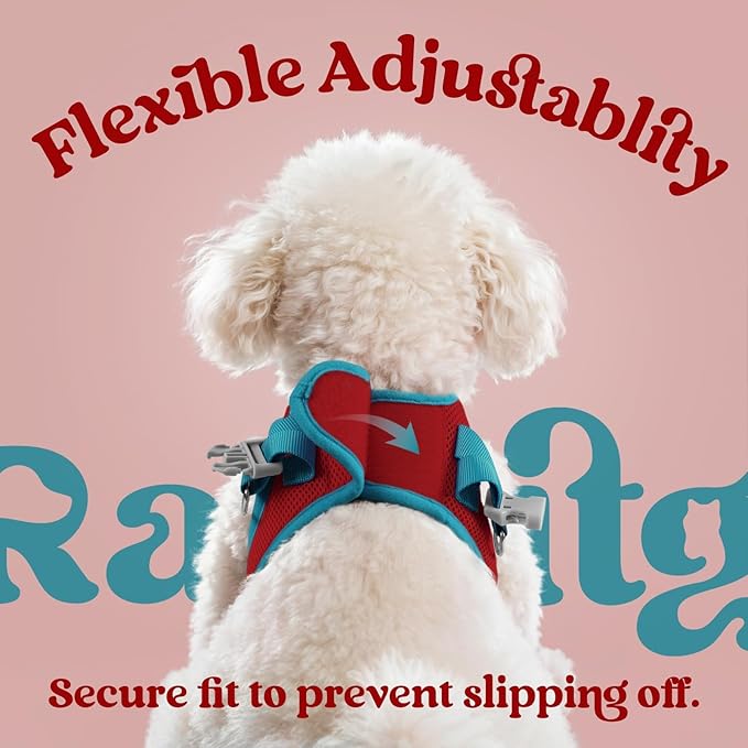 rabbitgoo Dog Harness Small Sized and Leash Set, Step-in Breathable Pet Harness, Soft Walking Reflective Puppy Vest for Small Dogs, Red & Teal, XS