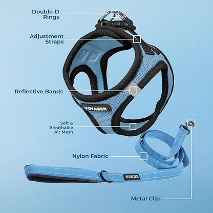 Best Pet Supplies Voyager Step-in Air All Weather Mesh Harness and Reflective Dog 5ft Leash Combo with Neoprene Handle, for Small, Medium and Large Breed Puppies - Set (Baby Blue/Black Trim), Small