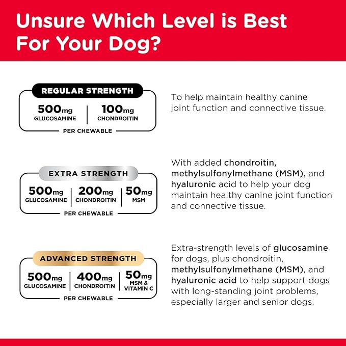 Nutri-Vet Hip & Joint Regular Strength Chewable Dog Supplements, Joint Supplement for Dogs, Chewable Supplement, Formulated with Glucosamine Chondroitin, Pet Supplies, Puppy Essentials, 180 Count