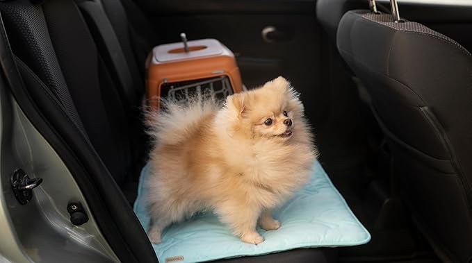 Self Cooling Mat for Dogs & Cats, 41x28.5 Soft Breathable Cold Crate Pad for Pet, Portable Washable Kennel Bed for Outdoor Summer with Non-Slip Bottom and Chill Cool Fiber, Sky Blue