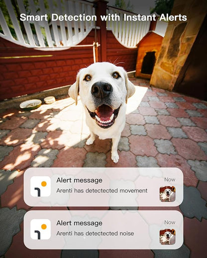 ARENTI 5G 4MP Pet Camera 2 Pack, No Subscription Indoor Security Camera for Dog/Cat/Baby, Free Phone App, Dual-Band WiFi, Auto Tracking, Super Night Vision, 2-Way Talk, 64G Local Storage(P2Q 64G 2PC)