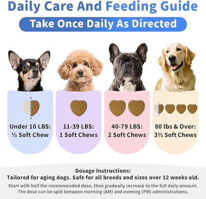 Senior Advanced Joint Supplement for Dogs – 17-in-1 Glucosamine for Dogs with Chondroitin – Hip & Joint Pain Relief Pills – Mobility Support Chews – Large & Small Breeds - Chicken Flavor – 90Ct