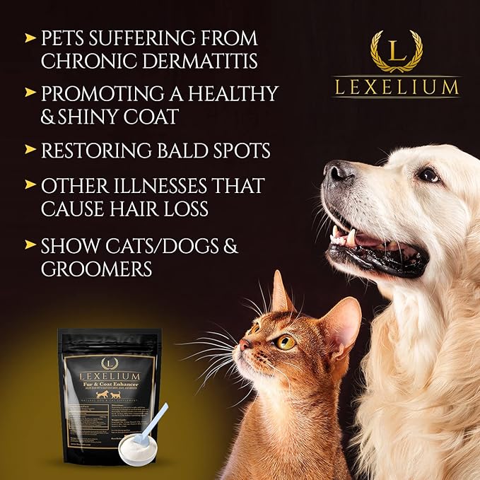 Dermatitis Skin and Coat Supplement for Dogs and Cats - Promotes Healthy Skin and Fur for Dogs and Cats - Helps w/Itch, Dry Skin + Other Symptom - Natural Vet-Approved Powder Formula - 200G
