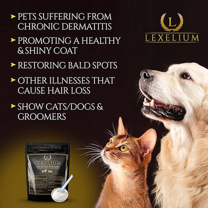 Dermatitis Skin and Coat Supplement for Dogs and Cats - Promotes Healthy Skin and Fur for Dogs and Cats - Helps w/Itch, Dry Skin + Other Symptom - Natural Vet-Approved Powder Formula - 200G