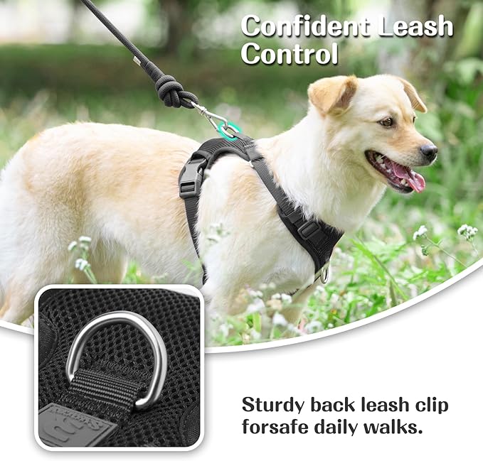 No Pull Dog Harness for Small Medium Large Dogs - Adjustable 2 Layer Mesh Dog Vest with Dual Clip, Escape Proof, Quick Release, Lightweight Breathable Mesh for Walking Hiking (Black,M)