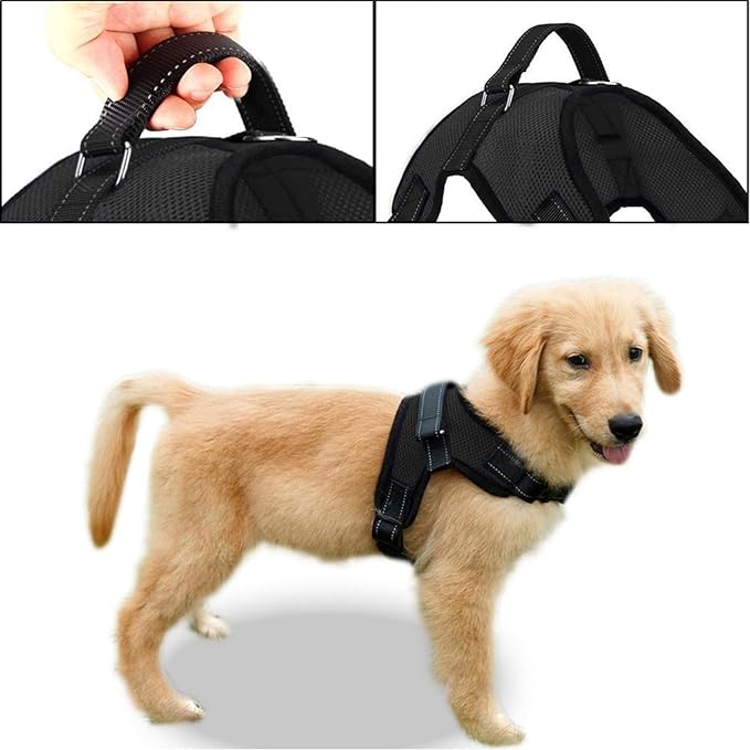 No Pull Reflective Adjustable Dog Harness With Handle- Comfortable Soft All Weather Mesh, Easy On Puppy Harness For Small Medium and Large Dogs (Black) Medium