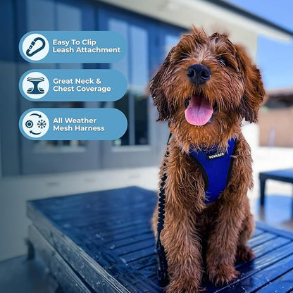 Best Pet Supplies Voyager Step-in Air All Weather Mesh Harness and Reflective Dog 5ft Leash Combo with Neoprene Handle, for Small, Medium and Large Breed Puppies - Set (Royal Blue/Black Trim), X-Small