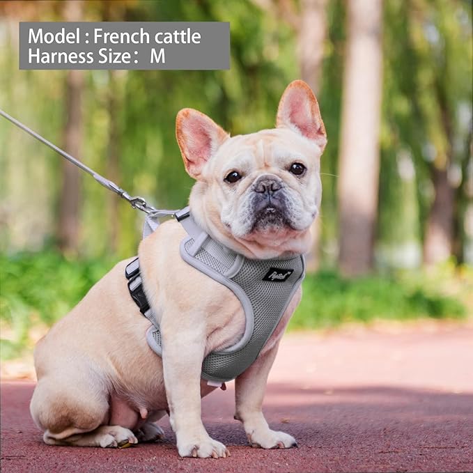 PUPTECK Small Dog Harness and Leash Set, No Pull Adjustable Puppy Cat Harness, Reflective Soft Mesh Pet Vest Small Sized, Grey, M