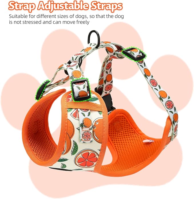 Small Dog Harness and Leash Set of 6, No Pull Soft Lightweight Mesh Puppy Harness， Adjustable Cute Floral Pattern Pet Harness for Small Medium Dogs (Orange, M)