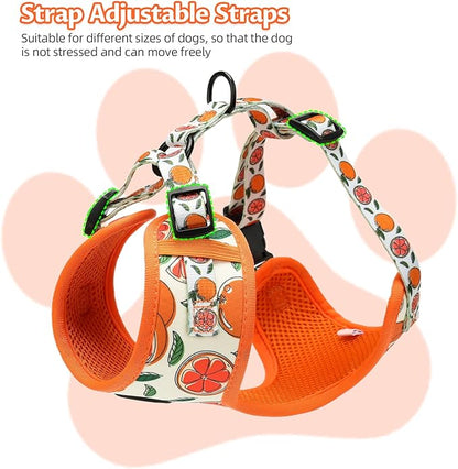 Small Dog Harness and Leash Set of 6, No Pull Soft Lightweight Mesh Puppy Harness， Adjustable Cute Floral Pattern Pet Harness for Small Medium Dogs (Orange, M)