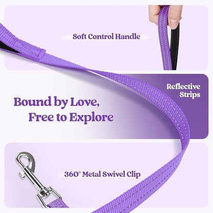rabbitgoo Dog Harness Small Sized and Leash Set, Step in Soft Light Puppy Vest, Breathable Mesh Pet Harness, Reflective for Outdoor Safe Walking, Purple XL