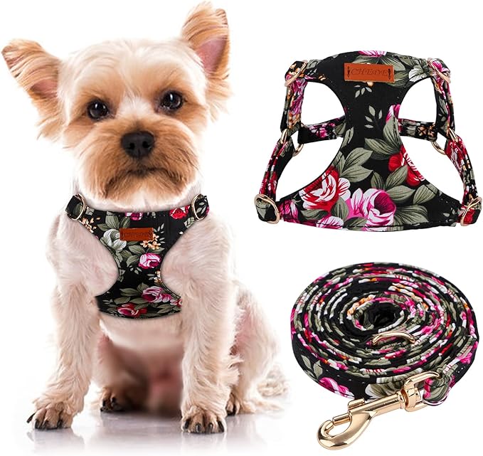 CHEDE No Pull Floral Pattern Dog Harness- Lightweight and Soft Harness, Adjustable Small Dog Harness and Leash Set, with Dog Leash, Suitable for Puppy Small and Medium-Sized Dog