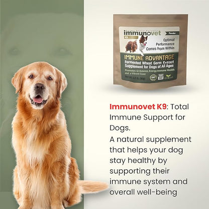 Plant-Based Dog Supplement Powder | Fermented Wheat Germ Extract | Boosts Immunity, Gut Health & Energy | Natural Pet Supplement for All Dog Ages | Non-GMO, Vet Trusted, Safe Formula- 90g