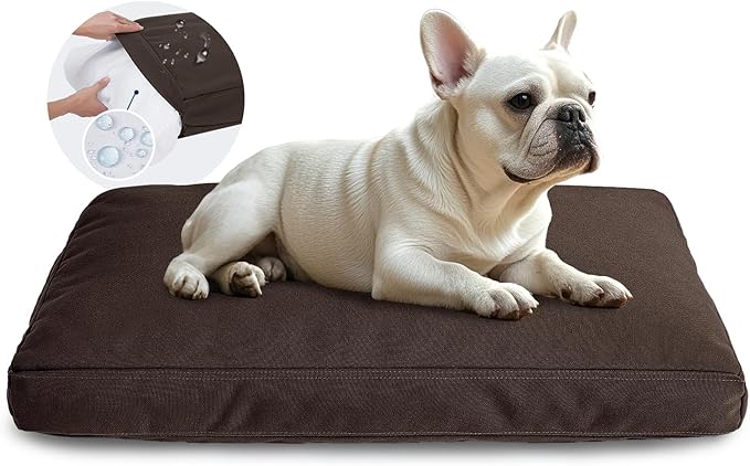 Miguel Durable Canvas Dog Bed for Medium Small Pet Outdoor Dogs Pad 14 Ounce Canvas Waterproof Pet Pillow with Removable Washable Cover,30 x 20 inch, Brown