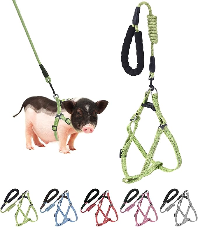 Mini Pig Harness, Adjustable Small Pig Harness with Leash Infinity Style Lead and Soft Foam Handle for Small to Medium Pet Pigs Walking Training Jogging (Green, M)
