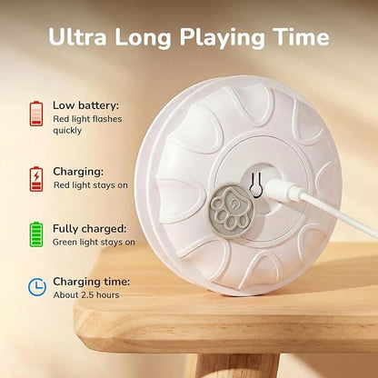 Cat Toy, Interactive Cat Toy, Cat Toys Interactive, Rechargeable Hide And Seek Automatic Kitten Toy With 2 Replaceable Wands, 3 Modes, 10-Min Auto-Sleep & Realistic Mouse Sounds For Indoor Cats