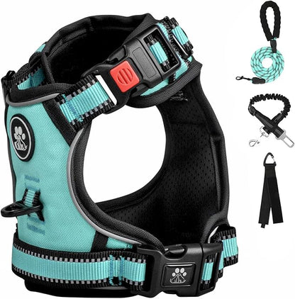 FURRYFECTION Plaid Dog Harness for Small Dogs, Reflective No Pull Adjustable Pet Vest with Front Clip, Leash, Easy Control Handle and Seat Belt, Turquoise, S
