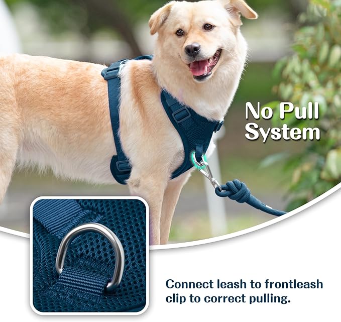 No Pull Dog Harness for Small Medium Large Dogs - Adjustable 2 Layer Mesh Dog Vest with Dual Clip, Escape Proof, Quick Release, Lightweight Breathable Mesh for Walking Hiking (Prussian Blue,M)