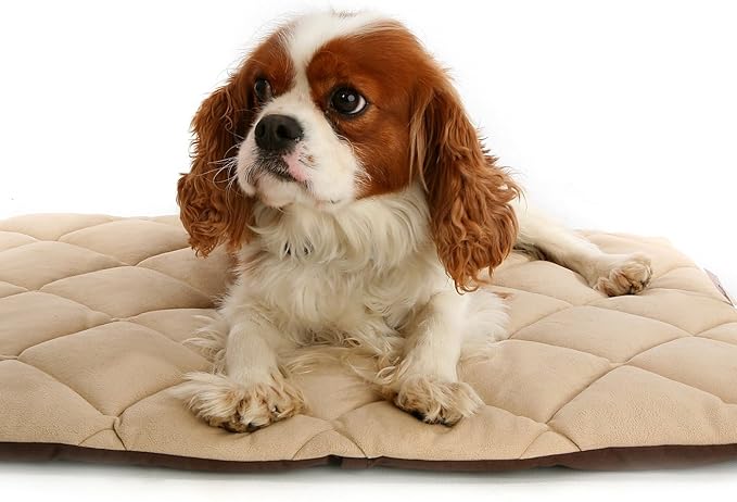 Flectabed Q Petlife Thermal Pet Bedding for Dog/Cat, 50 x 30-inch, Cream
