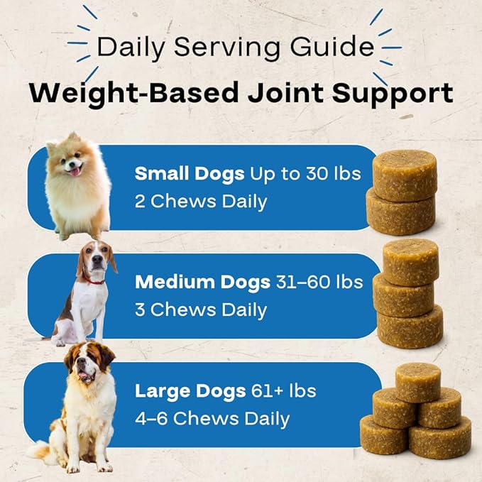 Hip & Joint Chews for Dogs – Glucosamine, Chondroitin, MSM & Green Lipped Mussel – Supports Mobility & Joint Health for Dogs – Natural Dog Joint Supplement – Chicken Flavor, 120 Soft Chews