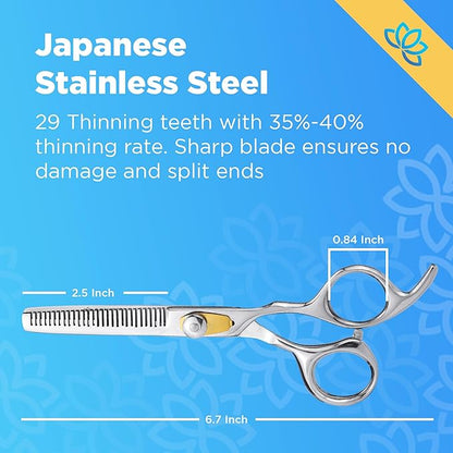 Equinox Professional Hair Scissors Set - Premium Barber Kit, Includes Hair Cutting Scissors, Thinning Shears, Straight Razor, Basic Comb, Cleaning Cloth, Oil & Sandpaper - Hair Salon & Barber Supplies