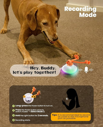 Xeuch Smart Interactive Dog Toys, Automatic Moving and Rolling Dogs Ball with Rope, Motion-Activated Squeaky Ball for Small Medium Dogs for Boredom, RGB Lights, Stimulating Sound, Voice Recording
