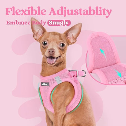 rabbitgoo Small Dog Harness, Step-in Soft Mesh Puppy Vest with Safety Buckle, Breathable Reflective Pet Harness for Extra Small Dogs, Light Pink XXXS