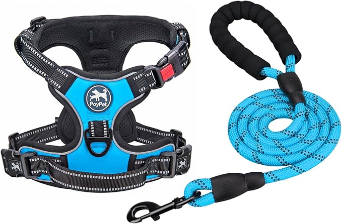 PoyPet Dog Harness and Leash Combo, Escape Proof No Pull Vest Harness, with 5 Feet Leash, Reflective Adjustable Soft Padded Pet Harness with Handle for Small to Large Dogs(Blue,L)