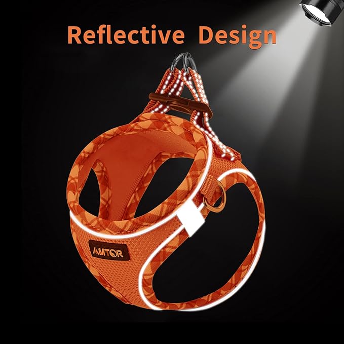 AMTOR Small Dog Harness with Leash Set, No Escape Easy Walk Puppy Harnesses for Training Walking, Step-in Reflective Soft Dogs Vest for XS S Medium Extra-Small Large Sized Dog(M Size,Orange/White)
