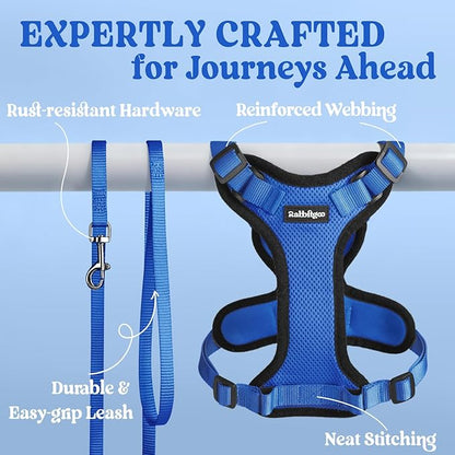 rabbitgoo Cat Harness and Leash for Walking, Escape Proof Soft Adjustable Vest Harnesses for Cats, Easy Control Breathable Reflective Strips Jacket, Navy Blue, XS