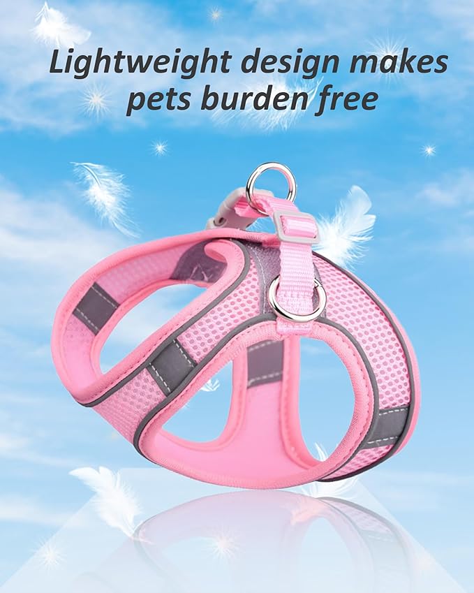 Solmoony Dog Harness for Small Medium Large Dogs No Pull, Puppy Harness and Leash Set, Puppy Harness, Step in Harness for Small Dogs, mesh Dog Harness. (Pink, XXS)