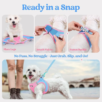 rabbitgoo Dog Harness Small Sized and Leash Set, Step in Soft Light Puppy Vest, Breathable Mesh Pet Harness, Reflective for Safe Easy Walking, Blue & Light Pink XXS