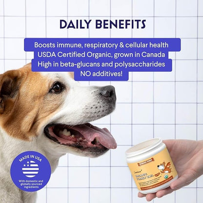 Wonder Paws Organic Turkey Tail Mushroom for Dogs – Powerful Turkey Tail for Dogs Mushroom Powder for Immunity, Respiratory, Digestion & Cellular Health–with Beta Glucans & Polysaccharides (120 g)