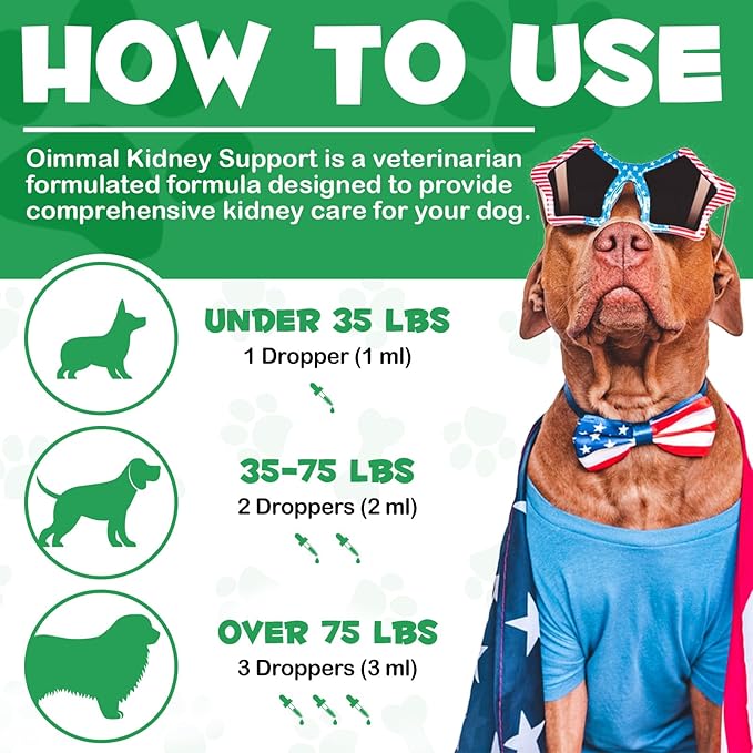Kidney Support for Dogs - Kidney Support Supplement, Supports Immune, Urinary & Kidney Health Function, Natural Herbal Supplement (2 Fl Oz)