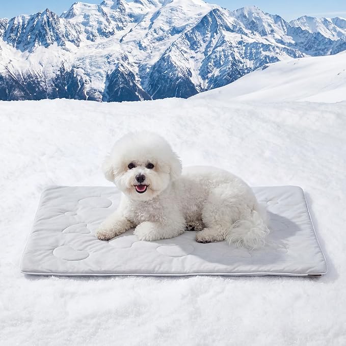 ZOMISIA Cooling Blanket for Small Dogs - High Cold Washable Cat Blanket, Travel Soft Pet Summer Essentials, Grey, 25"x35"