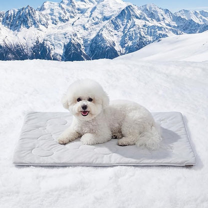ZOMISIA Cooling Blanket for Small Dogs - High Cold Washable Cat Blanket, Travel Soft Pet Summer Essentials, Grey, 25"x35"