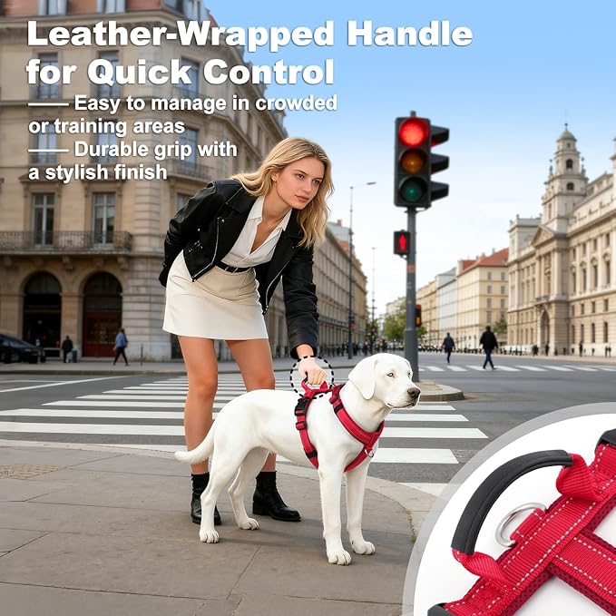 No Pull Dog Harness with Handle, Soft Mesh Padded Adjustable for Small Medium Large Dogs | Reflective Easy Walk Harness with Front Clip for Training, Running & Outdoor (Red, M)