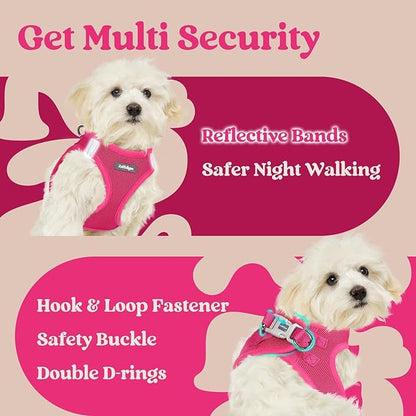 rabbitgoo Small Dog Harness, Step-in Soft Mesh Puppy Vest with Safety Buckle, Breathable Reflective Pet Harness for Small Sized Dogs, Rose Red M