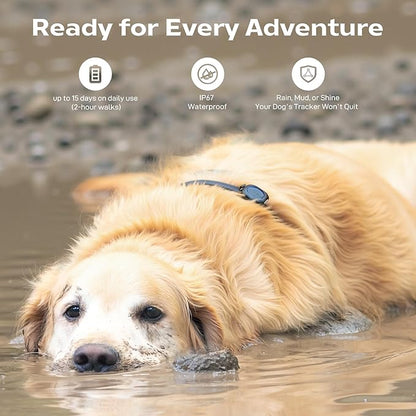 Aorkuler GPS Dog Tracker – No Phone, No Signal, No Subscription | Real-Time Direction & Distance Up to 3.5 Miles | Built for Hiking, Farms & Off-Grid Adventures (Tracker 2)