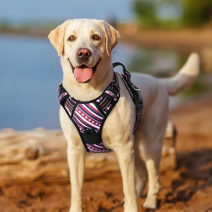rabbitgoo Dog Harness No Pull with 2 Leash Clips, Adjustable Soft Padded, Reflective Oxford No Choke Pet Vest with Easy Control Handle for Large Dogs, Red Stripe, L