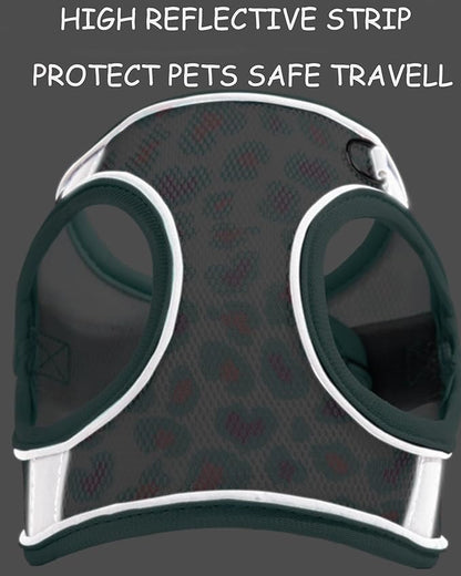 Dog Harness for Small Medium Dogs No Pull, Cat Harness and Leash Set, Step in Puppy Harness. (Bule, S)
