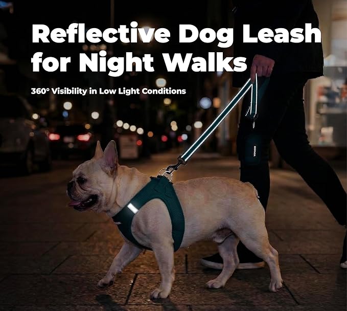 Best Pet Supplies Voyager Reflective Dog Leash or Collar with Neoprene Handle, for Small, Medium, and Large Breed Puppies, Cute and Heavy Duty for Walking, Running and Training - Blue (Leash), M