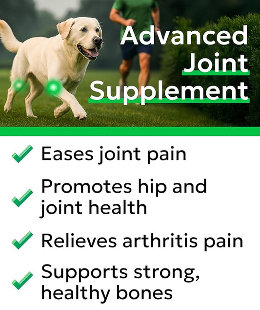 BARK&SPARK Glucosamine Chondroitin Dog Hip & Joint Supplement - Joint Pain Relief - Hip & Joint Chews - Joint Support Large Small Breed - Senior Doggie Vitamin Pill Joint Health