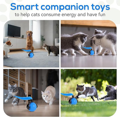 Smart Interactive Cat Toys for Indoor,Automatic Rolling Pet Ball,Teasing Hunting Toy for Kitten,3 Stimulating Modes,USB Recharge and Mouse Tail Toy 2 Tails Bule