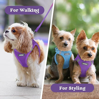 rabbitgoo Small Dog Harness, Step-in Soft Mesh Puppy Vest with Safety Buckle, Breathable Reflective Pet Harness for Extra Small Dogs, Purple XXXS