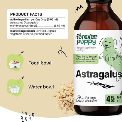 Forever Puppy Astragalus Root Drops for Dogs - Astragalus Membranaceus Extract for Dogs' Immune Support - Herbal Pet Liquid Supplements for Immunity & Joyful Pet Care - 4 oz