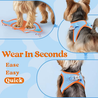 rabbitgoo Small Dog Harness, Step-in Soft Mesh Puppy Vest with Safety Buckle, Breathable Reflective Pet Harness for Small Sized Dogs, Blue & Orange S