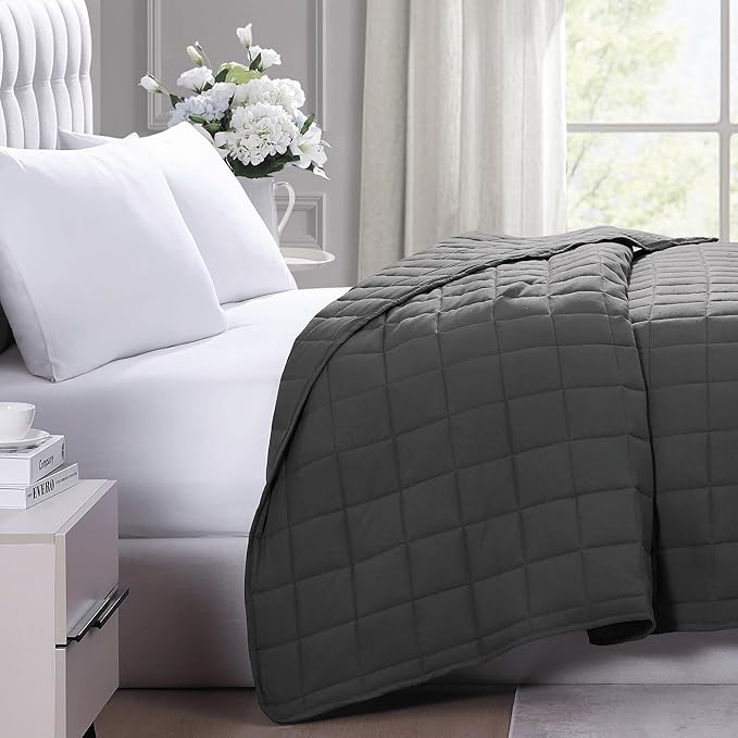 Casa Platino Queen Duvet Insert - Soft Blankets Lightweight Queen Size Bedding, Cooling Pre-Washed - Down Alternative Blanket - Charcoal