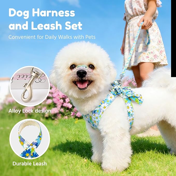 BAEJMJK Dog Harness and Leash Set with Bow Knot No Pull Pet Daisy Floral Harness with D-Ring Soft Mesh Dog Harness Vest Set Escape Proof Princess Puppy Harness for Small Girl Dogs Cats（Blue A XS）