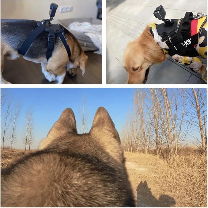 Dog Harness Mount for Camera, Adjustable Dog Harness Vest with Pet Chest and Back Fixation Mouting Base for Gopro Hero, Compatible with Osmo Action and Insta360, Suitable for Medium Large Dogs